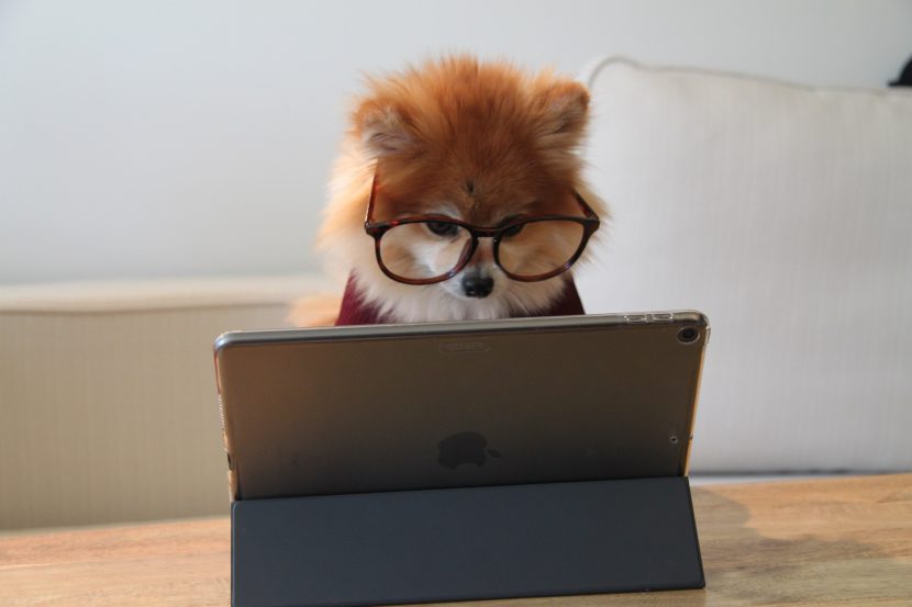 SEO für WordPress